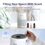 Bộ 12 bông nén thấm hút tinh dầu Aroma Levoit | Sử dụng máy Core mini & LV-H128